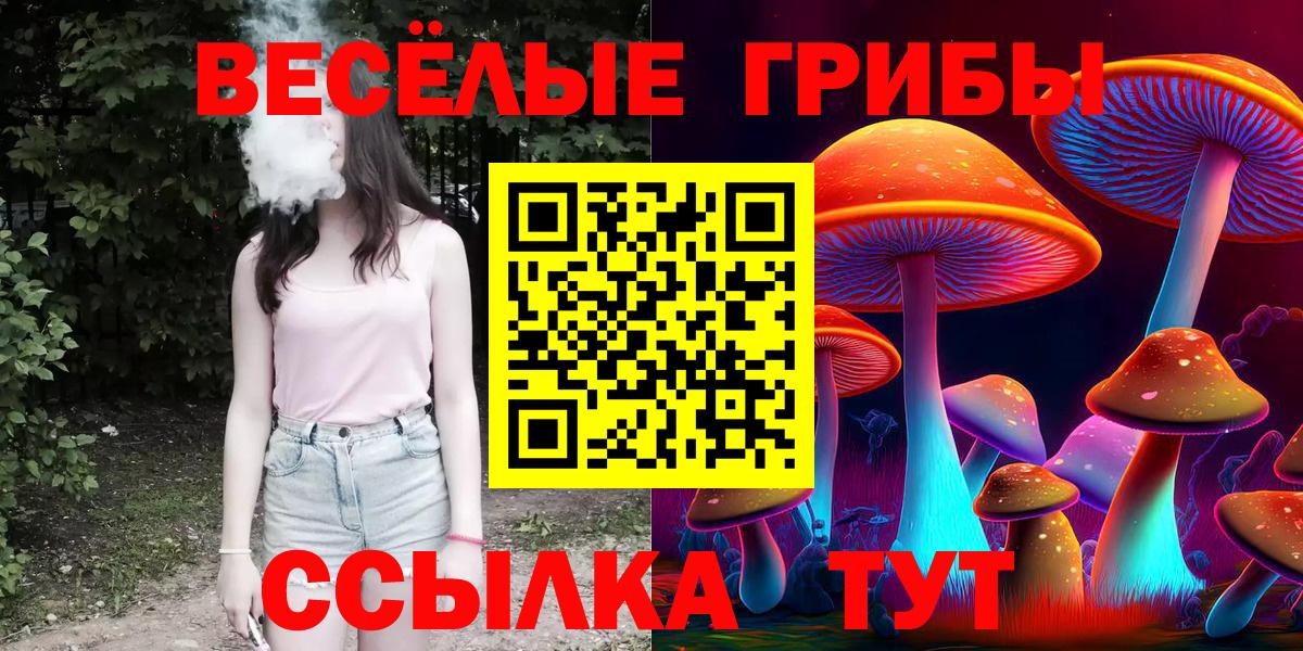 Псилоцибиновые грибы Psilocybine cubensis  Вход с VPN  Ставрополь 