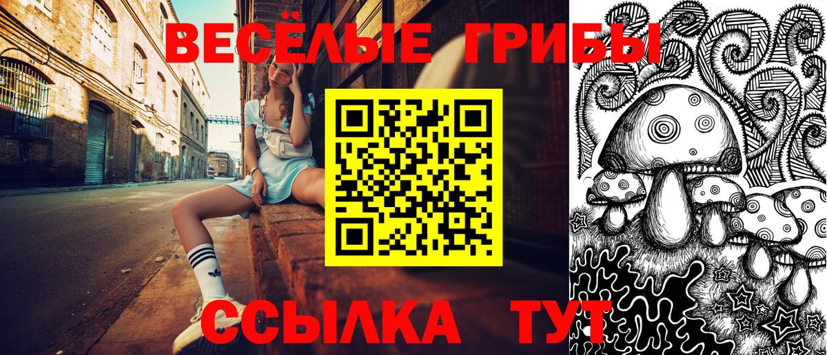Галлюциногенные грибы ЛСД Ставрополь