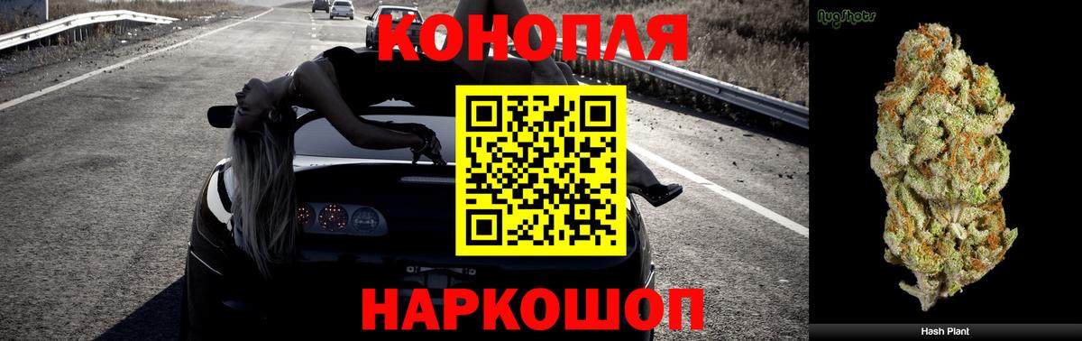 Бошки марихуана THC 21% Ставрополь